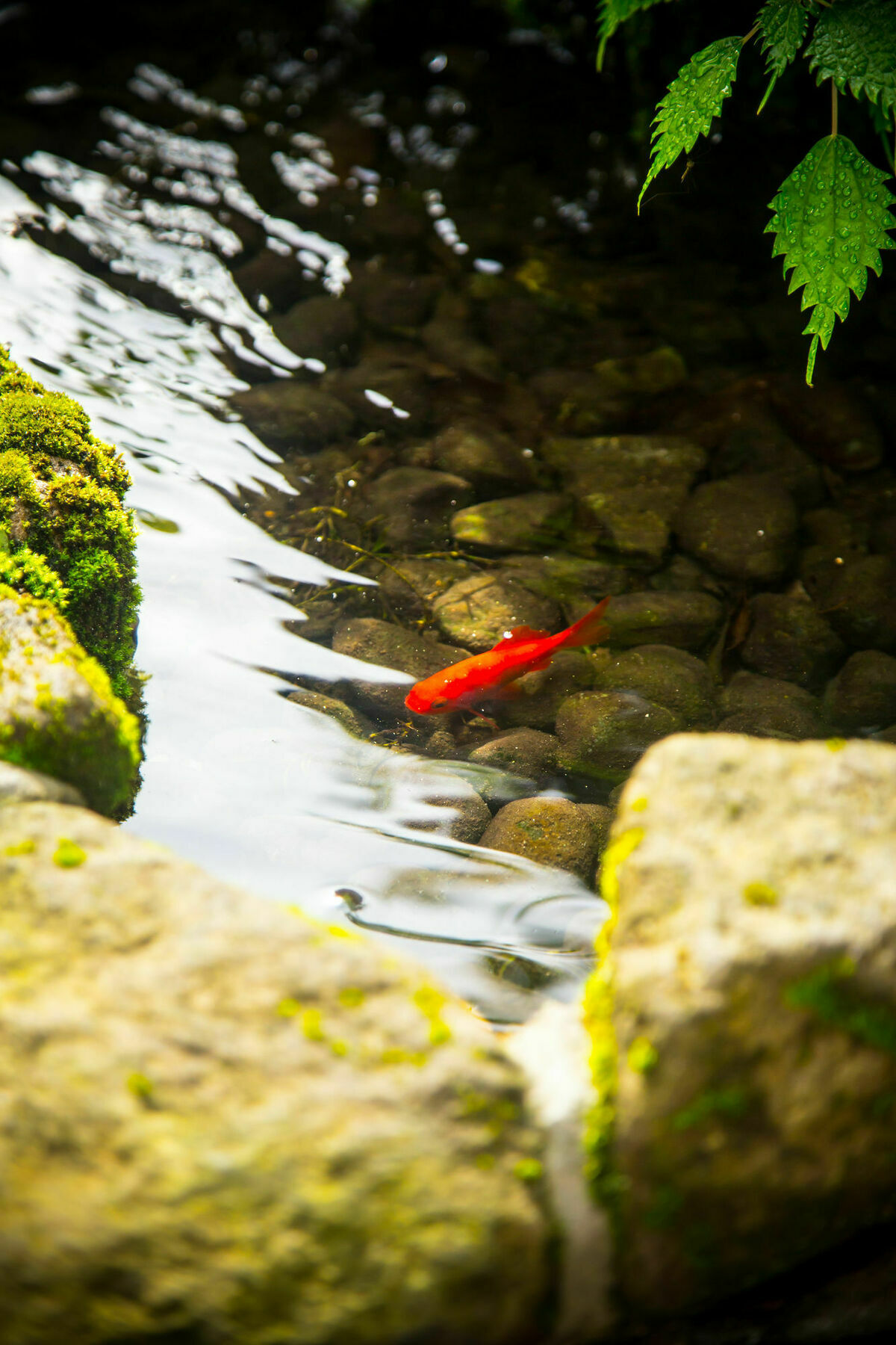 료칸 여명 旅館 黎明 Ryokan Reimei Yufu Bagian luar foto